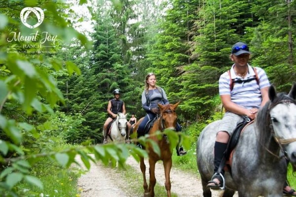 mount joy ranch montenegro horseback riding tours 1