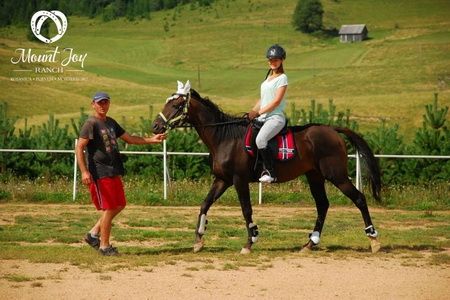 mount joy ranch montenegro horseback riding lessons