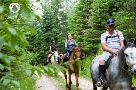mount joy ranch montenegro horseback riding tours 1