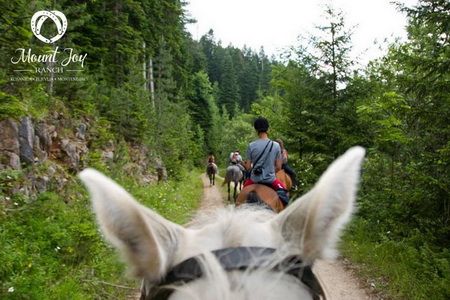 mount joy ranch montenegro horseback riding tours 2